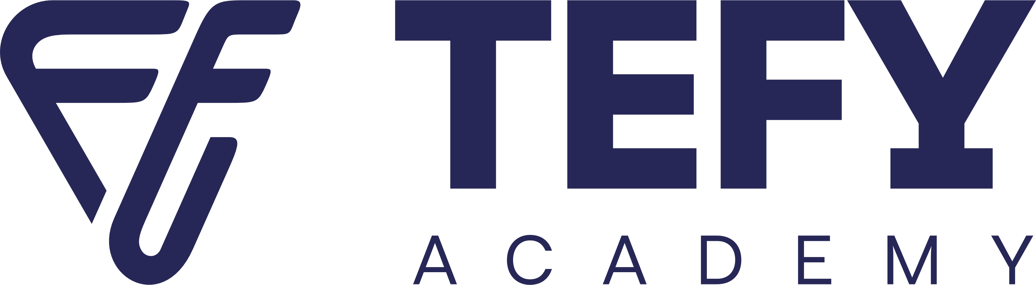 TEFY Academy